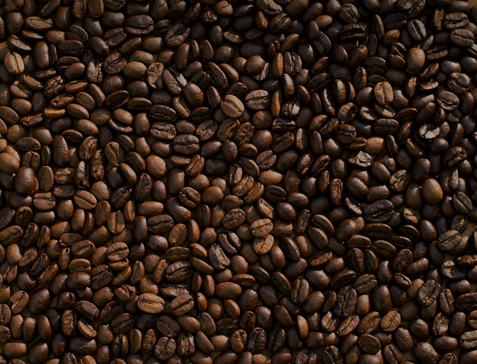 Fresh roasted coffee beans in rich brown tones