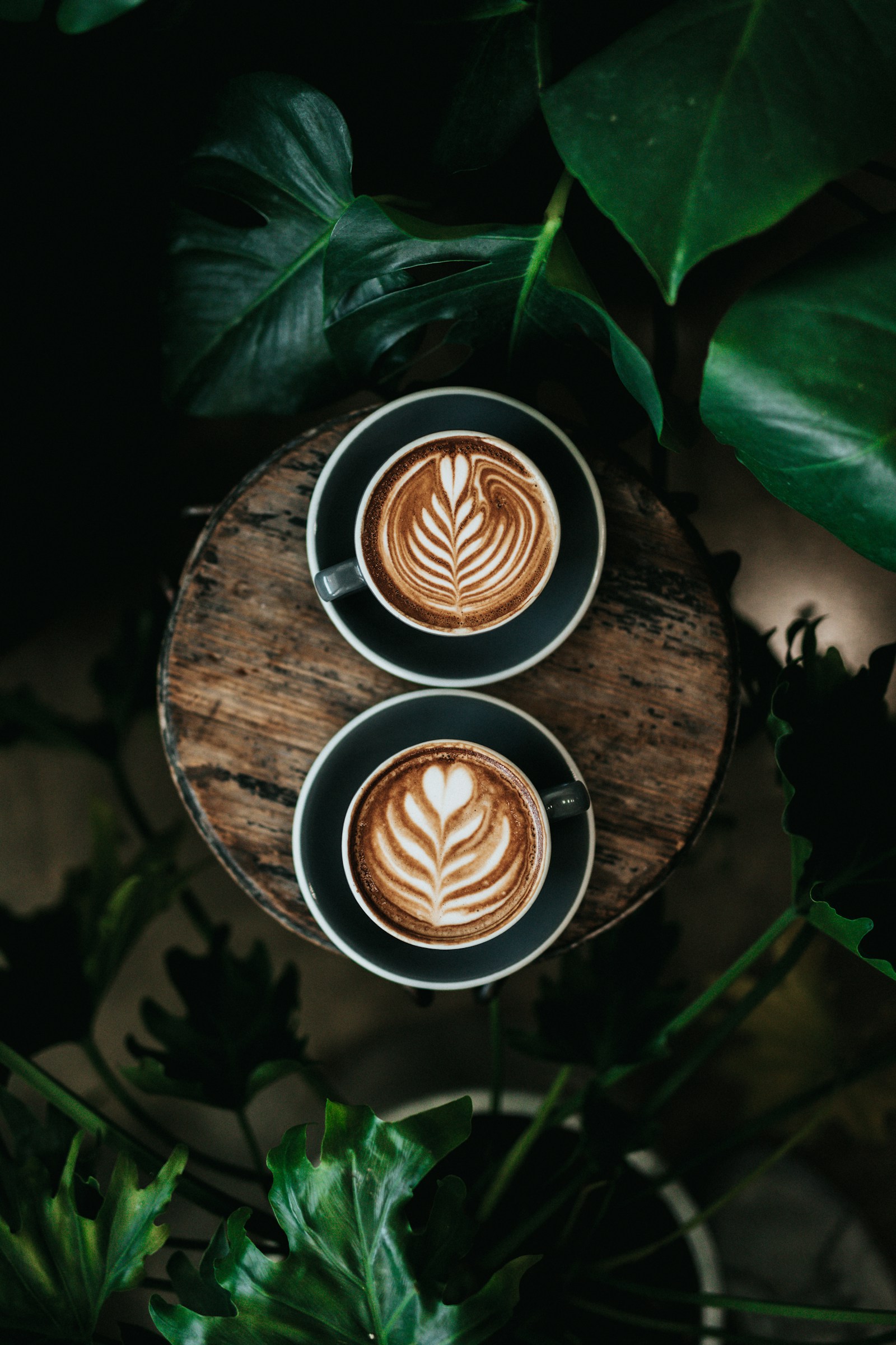 Roasted coffee and cafe preparation scene